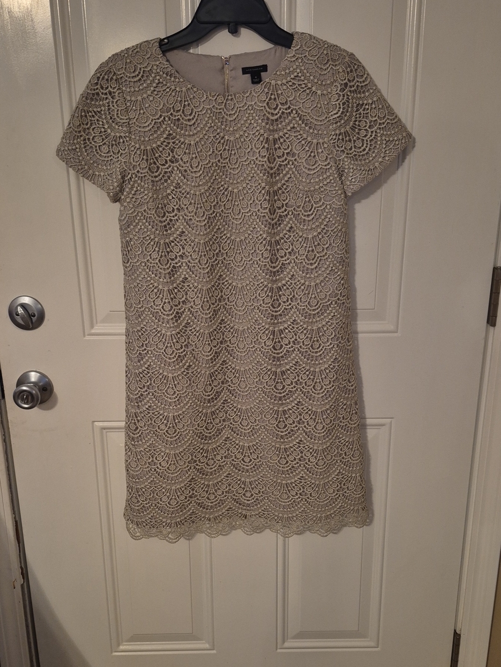 Ann Taylor Beige Scalloped Lace Mini Dress